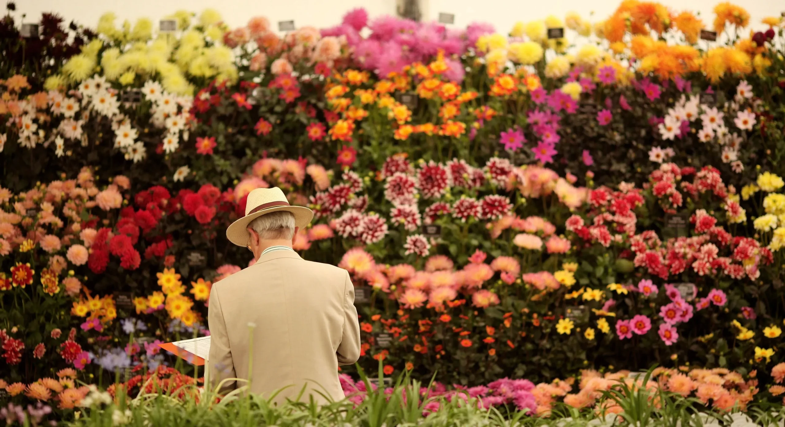 Hampton Court Palace Garden Festival